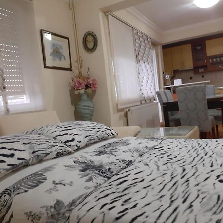 Spacious 80M2 Apartment In The Center Ljubuški Zewnętrze zdjęcie
